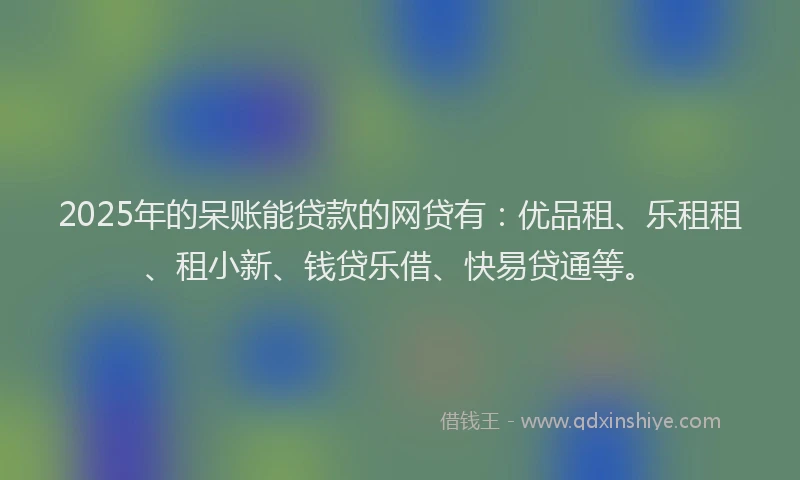 2025年的呆账能贷款的网贷有：优品租、乐租租、租小新、钱贷乐借、快易贷通等。