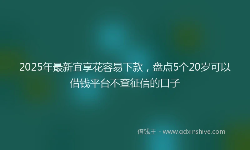 2025年最新宜享花容易下款，盘点5个20岁可以借钱平台不查征信的口子