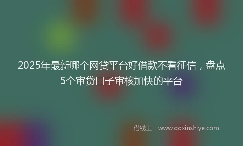 2025年最新哪个网贷平台好借款不看征信，盘点5个审贷口子审核加快的平台