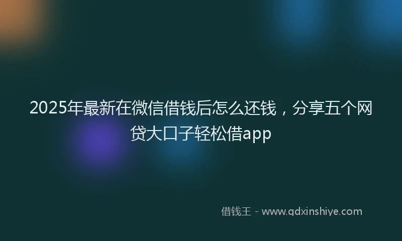 2025年最新在微信借钱后怎么还钱，分享五个网贷大口子轻松借app