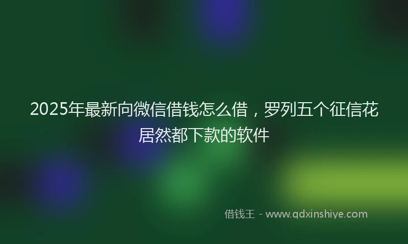 2025年最新向微信借钱怎么借，罗列五个征信花居然都下款的软件