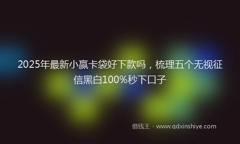 2025年最新小赢卡袋好下款吗，梳理五个无视征信黑白100%秒下口子