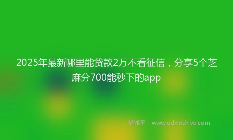 2025年最新哪里能贷款2万不看征信，分享5个芝麻分700能秒下的app
