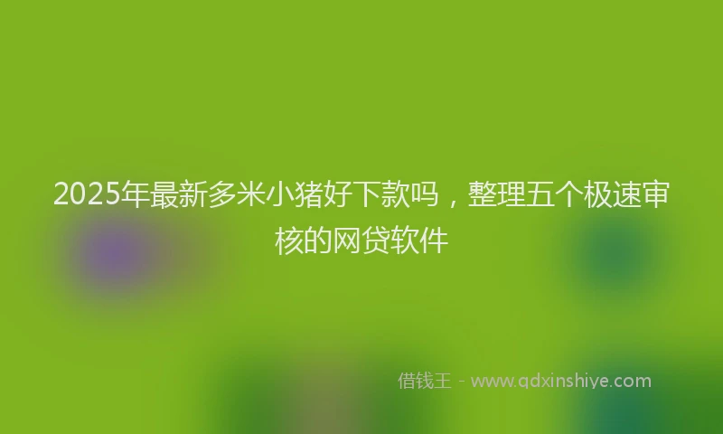 2025年最新多米小猪好下款吗，整理五个极速审核的网贷软件