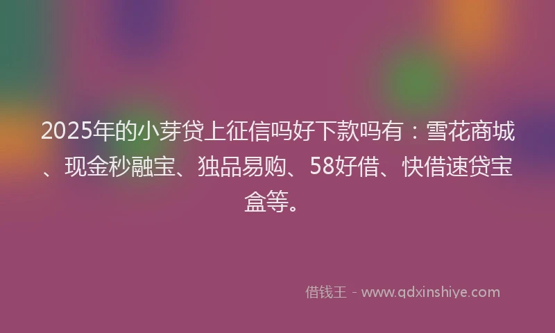 2025年的小芽贷上征信吗好下款吗有：雪花商城、现金秒融宝、独品易购、58好借、快借速贷宝盒等。