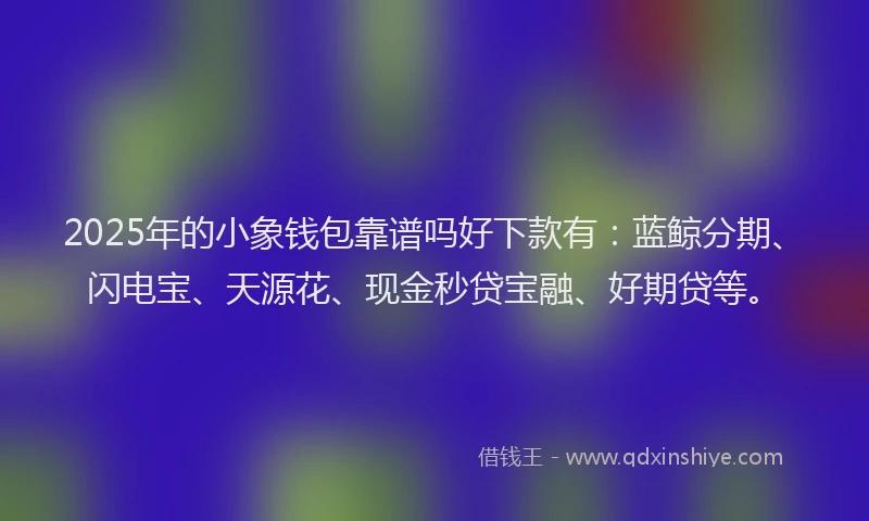 2025年的小象钱包靠谱吗好下款有：蓝鲸分期、闪电宝、天源花、现金秒贷宝融、好期贷等。