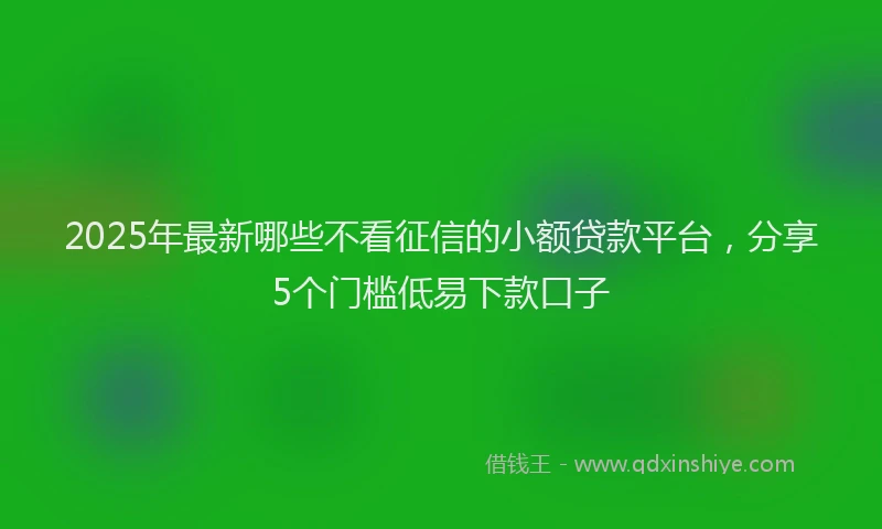 2025年最新哪些不看征信的小额贷款平台，分享5个门槛低易下款口子