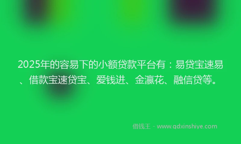 2025年的容易下的小额贷款平台有：易贷宝速易、借款宝速贷宝、爱钱进、金瀛花、融信贷等。