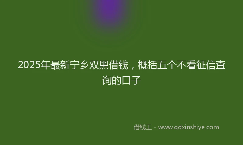 2025年最新宁乡双黑借钱，概括五个不看征信查询的口子