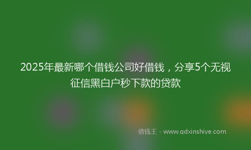 2025年最新哪个借钱公司好借钱，分享5个无视征信黑白户秒下款的贷款