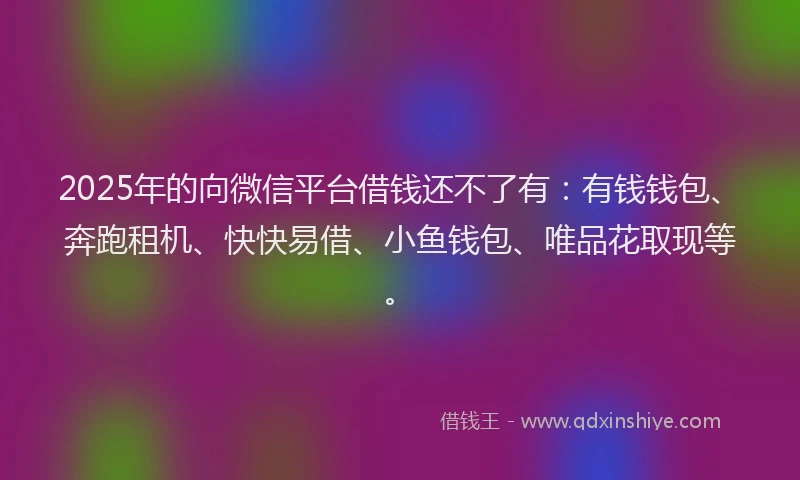 2025年的向微信平台借钱还不了有：有钱钱包、奔跑租机、快快易借、小鱼钱包、唯品花取现等。