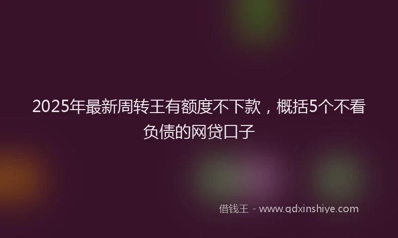 2025年最新周转王有额度不下款，概括5个不看负债的网贷口子