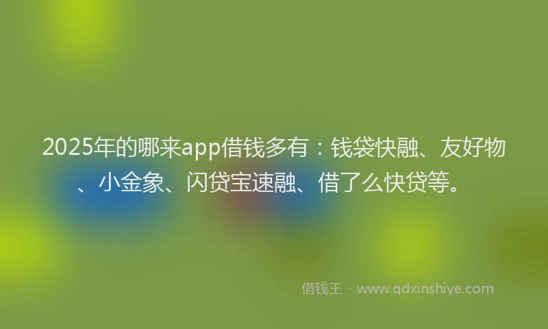 2025年的哪来app借钱多有：钱袋快融、友好物、小金象、闪贷宝速融、借了么快贷等。