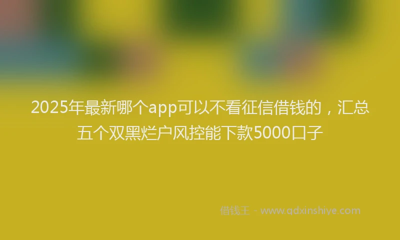 2025年最新哪个app可以不看征信借钱的，汇总五个双黑烂户风控能下款5000口子