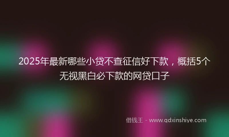 2025年最新哪些小贷不查征信好下款，概括5个无视黑白必下款的网贷口子