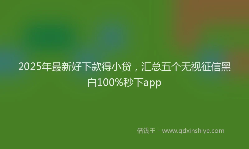 2025年最新好下款得小贷，汇总五个无视征信黑白100%秒下app