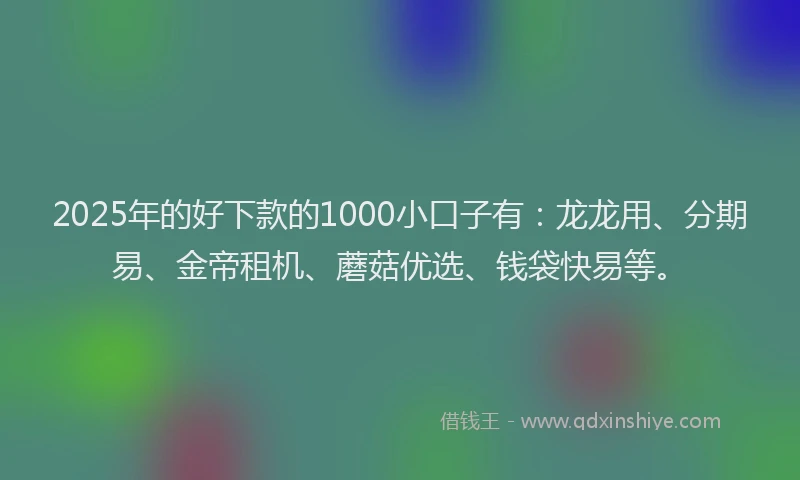 2025年的好下款的1000小口子有：龙龙用、分期易、金帝租机、蘑菇优选、钱袋快易等。