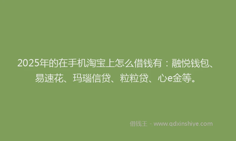 2025年的在手机淘宝上怎么借钱有：融悦钱包、易速花、玛瑙信贷、粒粒贷、心e金等。