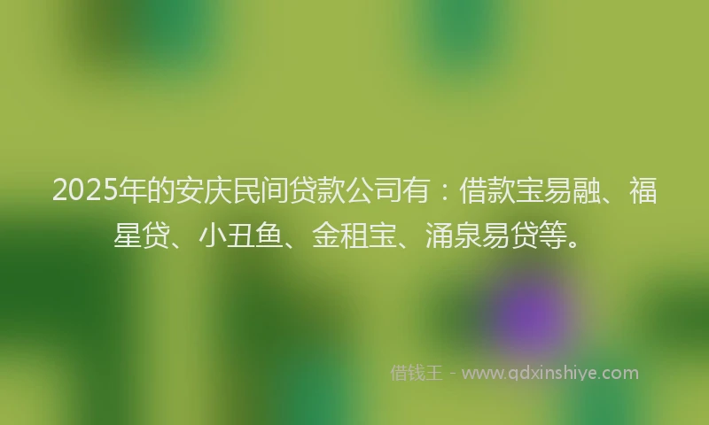 2025年的安庆民间贷款公司有：借款宝易融、福星贷、小丑鱼、金租宝、涌泉易贷等。