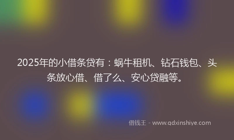 2025年的小借条贷有：蜗牛租机、钻石钱包、头条放心借、借了么、安心贷融等。