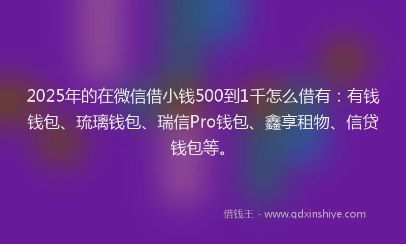 2025年的在微信借小钱500到1千怎么借有：有钱钱包、琉璃钱包、瑞信Pro钱包、鑫享租物、信贷钱包等。