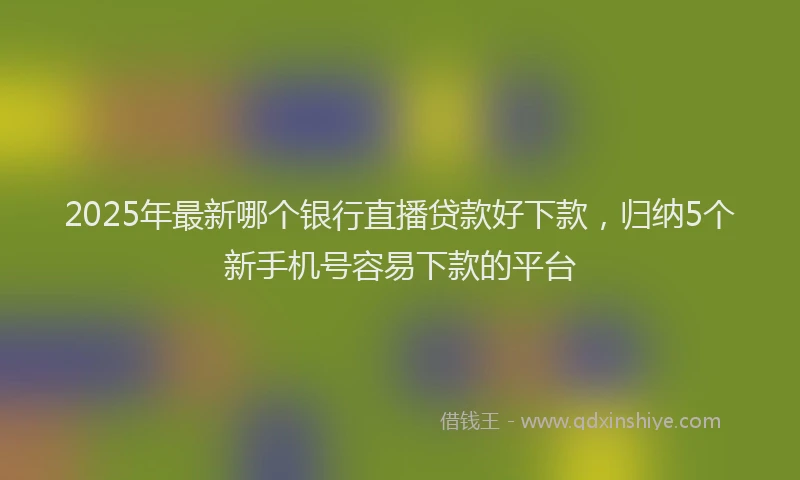 2025年最新哪个银行直播贷款好下款，归纳5个新手机号容易下款的平台