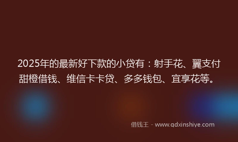 2025年的最新好下款的小贷有：射手花、翼支付甜橙借钱、维信卡卡贷、多多钱包、宜享花等。