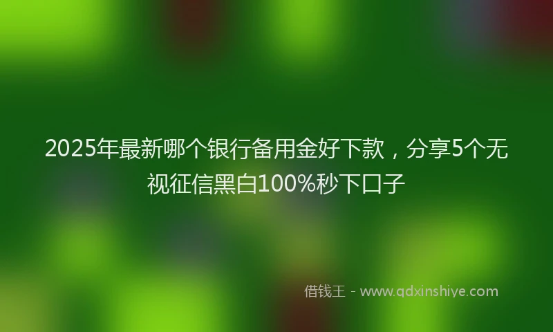 2025年最新哪个银行备用金好下款，分享5个无视征信黑白100%秒下口子