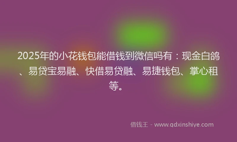 2025年的小花钱包能借钱到微信吗有：现金白鸽、易贷宝易融、快借易贷融、易捷钱包、掌心租等。