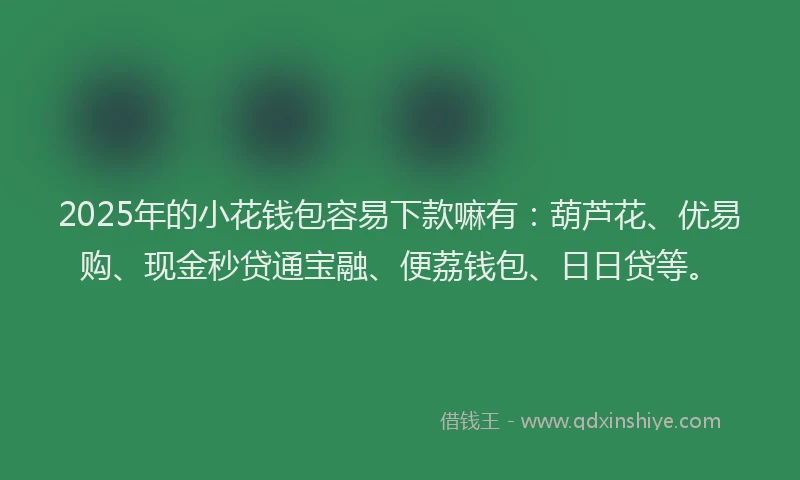 2025年的小花钱包容易下款嘛有：葫芦花、优易购、现金秒贷通宝融、便荔钱包、日日贷等。