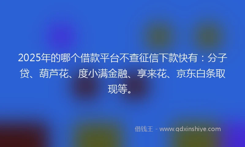 2025年的哪个借款平台不查征信下款快有：分子贷、葫芦花、度小满金融、享来花、京东白条取现等。