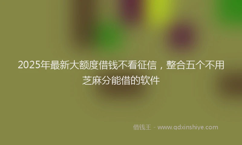 2025年最新大额度借钱不看征信，整合五个不用芝麻分能借的软件