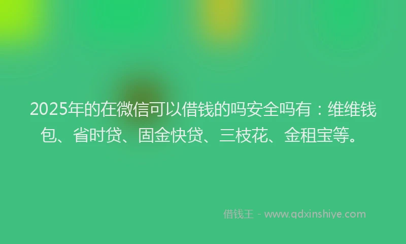 2025年的在微信可以借钱的吗安全吗有：维维钱包、省时贷、固金快贷、三枝花、金租宝等。