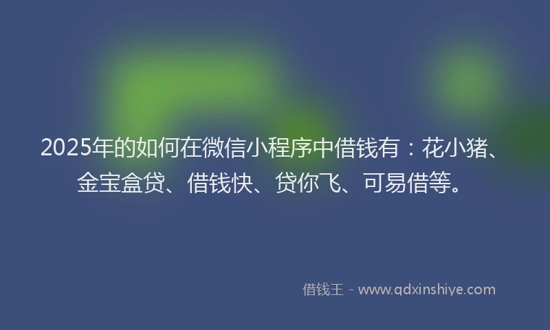 2025年的如何在微信小程序中借钱有：花小猪、金宝盒贷、借钱快、贷你飞、可易借等。