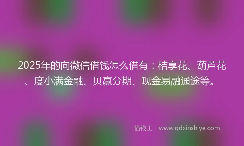 2025年的向微信借钱怎么借有：桔享花、葫芦花、度小满金融、贝赢分期、现金易融通途等。