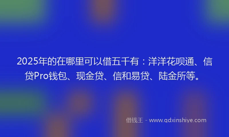 2025年的在哪里可以借五千有：洋洋花呗通、信贷Pro钱包、现金贷、信和易贷、陆金所等。