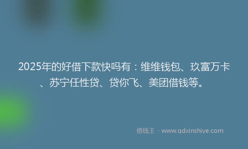 2025年的好借下款快吗有：维维钱包、玖富万卡、苏宁任性贷、贷你飞、美团借钱等。