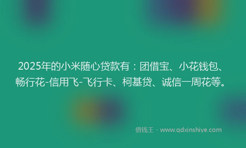 2025年的小米随心贷款有：团借宝、小花钱包、畅行花-信用飞-飞行卡、柯基贷、诚信一周花等。