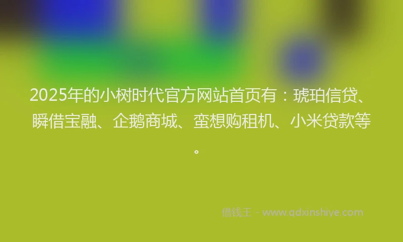 2025年的小树时代官方网站首页有：琥珀信贷、瞬借宝融、企鹅商城、蛮想购租机、小米贷款等。