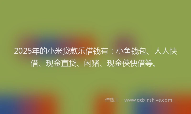 2025年的小米贷款乐借钱有：小鱼钱包、人人快借、现金直贷、闲猪、现金侠快借等。