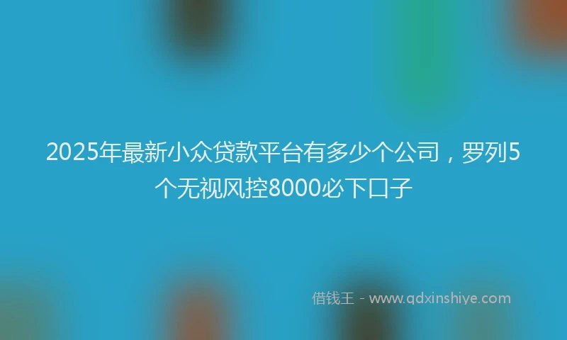 2025年最新小众贷款平台有多少个公司，罗列5个无视风控8000必下口子