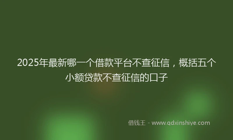 2025年最新哪一个借款平台不查征信，概括五个小额贷款不查征信的口子