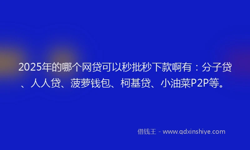 2025年的哪个网贷可以秒批秒下款啊有：分子贷、人人贷、菠萝钱包、柯基贷、小油菜P2P等。