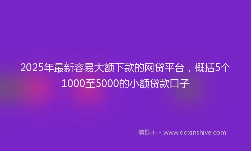 2025年最新容易大额下款的网贷平台，概括5个1000至5000的小额贷款口子