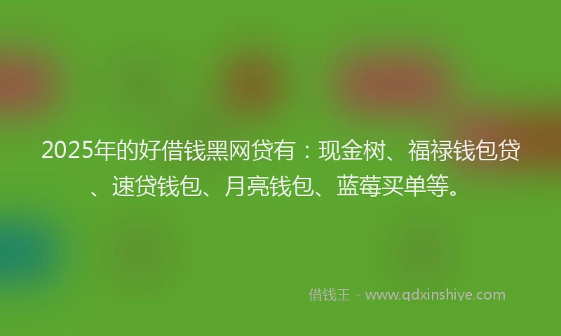 2025年的好借钱黑网贷有：现金树、福禄钱包贷、速贷钱包、月亮钱包、蓝莓买单等。