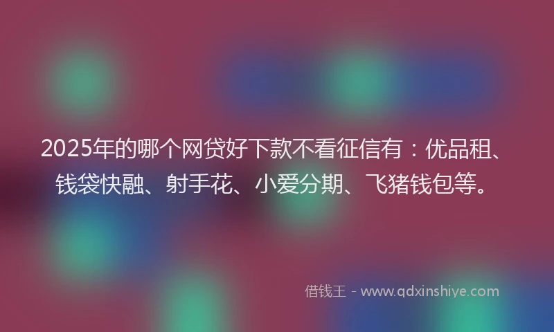 2025年的哪个网贷好下款不看征信有：优品租、钱袋快融、射手花、小爱分期、飞猪钱包等。