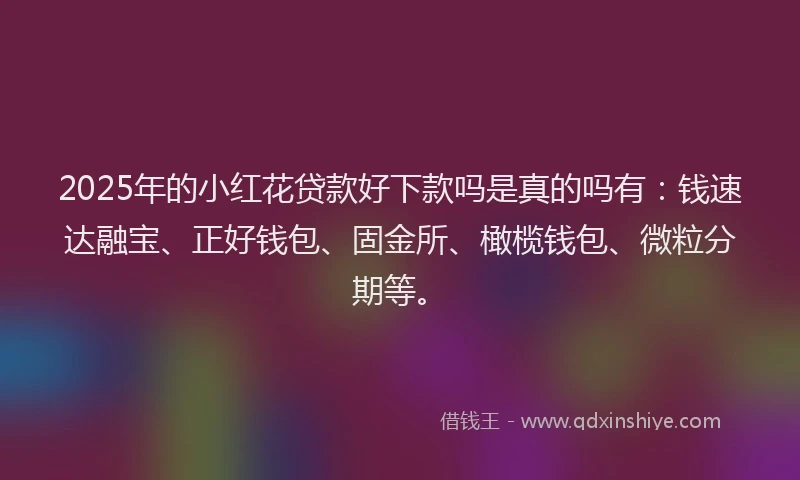 2025年的小红花贷款好下款吗是真的吗有：钱速达融宝、正好钱包、固金所、橄榄钱包、微粒分期等。