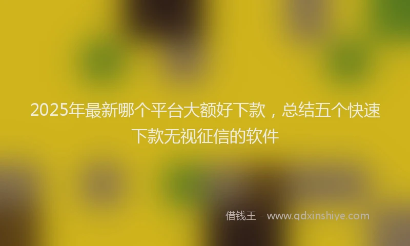 2025年最新哪个平台大额好下款，总结五个快速下款无视征信的软件
