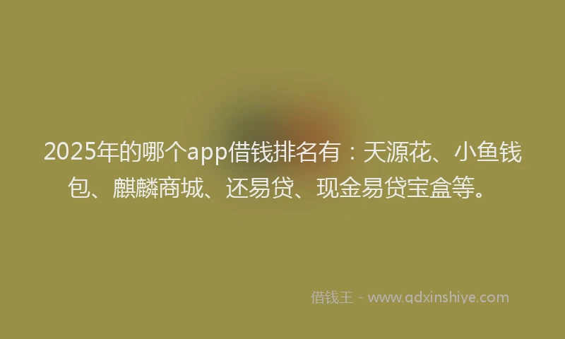2025年的哪个app借钱排名有：天源花、小鱼钱包、麒麟商城、还易贷、现金易贷宝盒等。