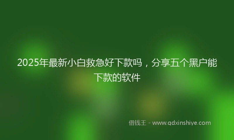 2025年最新小白救急好下款吗，分享五个黑户能下款的软件